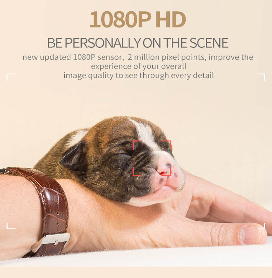 Sq11 Mini Camera Hd 1080p Sensor Night Vision
